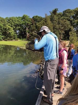 Marion Natural History Museum
On June 8, the Marion Natural History Museum’s afterschool group enjoyed a wonderful trip to Ram Island in Marion. The students watched various crabs in the salt marsh, visited several of the occupied Osprey nests and walked the shoreline looking for shells. We also had the opportunity to visit Clara and Darcy, the Moore’s pet donkeys. The museum would like to thank Dr. Michael Moore and his wife Hannah Moore for allowing us to explore the island’s many natural areas. Please visit our website: www.marionmus
