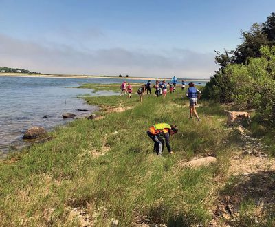 Marion Natural History Museum
On June 8, the Marion Natural History Museum’s afterschool group enjoyed a wonderful trip to Ram Island in Marion. The students watched various crabs in the salt marsh, visited several of the occupied Osprey nests and walked the shoreline looking for shells. We also had the opportunity to visit Clara and Darcy, the Moore’s pet donkeys. The museum would like to thank Dr. Michael Moore and his wife Hannah Moore for allowing us to explore the island’s many natural areas. Please visit our website: www.marionmus

