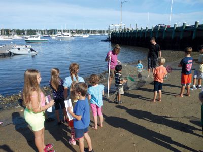 Marion Natural History Museum
The Marion Natural History Museum’s after-school group enjoyed a beautiful end-of-summer day Wednesday September 19 at the Marion Harbormaster’s beach.  One of the highlights was they we were able to take a close look at the largest Pipefish we’d ever seen.  The museum’s next after-school program is a rocket program given by board member Mike Cronin on October 10th.  Photo courtesy Elizabeth Leidhold
