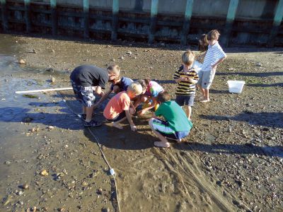 Marion Natural History Museum
The Marion Natural History Museum’s after-school group enjoyed a beautiful end-of-summer day Wednesday September 19 at the Marion Harbormaster’s beach.  One of the highlights was they we were able to take a close look at the largest Pipefish we’d ever seen.  The museum’s next after-school program is a rocket program given by board member Mike Cronin on October 10th.  Photo courtesy Elizabeth Leidhold
