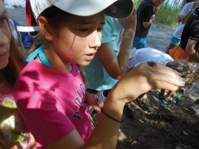 Marion Natural History Museum
The Marion Natural History Museum summer programs Life Along the Shore and Coastal Explorations 1 enjoyed a day of crabbing at Silvershell Beach while Coastal Explorations II group was out kayaking and discovering a little about water quality issues on the Sippican and Weweantic Rivers. Looking forward to more fun next week!
