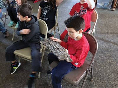 Marion Natural History Museum
The Marion Natural History Museum’s afterschool group had a chance to learn to identify certain local trees in winter by their bark. Students compared red cedar bark to red pine, took a close look at various lichens and mosses that use tree bark as a surface to grow on, and counted rings in a log supplied by Hartley Saw Mill in Rochester. 
