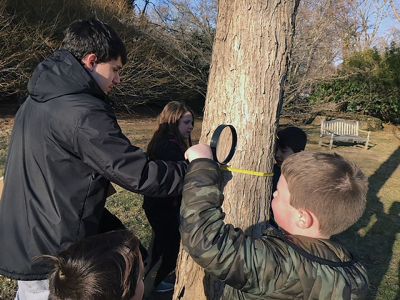 Marion Natural History Museum
The Marion Natural History Museum’s afterschool group had a chance to learn to identify certain local trees in winter by their bark. Students compared red cedar bark to red pine, took a close look at various lichens and mosses that use tree bark as a surface to grow on, and counted rings in a log supplied by Hartley Saw Mill in Rochester. 
