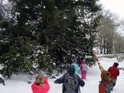 Marion Natural History Museum
On Wednesday, the Marion Natural History Museum's after school group learned how to identify some of our more common species of birds for the Great Backyard Bird Count.  Using telescopes and binoculars the students made, we took a walk to find evidence of birds and other wildlife in the park next door. By participating in the GBBC, the group will be contributing to important citizen science efforts coordinated by the National Audubon Society and the Cornell Lab of Ornithology. Photo courtesy of Elizabeth Le
