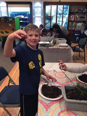 Marion Natural History Museum
During Wednesday's “Soil Critters” afterschool program, students had the opportunity to learn about what makes up a healthy soil and how varying numbers of insects populate different types of soil. The soil from the compost pile had the highest number of animals, with 17 pill bugs, 26 worms, two beetles, 34 springtails, two millipedes and one nematode. Maggie Payne of the USDA Natural Resource Conservation Service shared her expertise with the after-school group. Photo courtesy Elizabeth Leidhold
