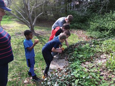 Marion Natural History Museum
The Marion Natural History Museum's after school program had fun with insects, like the Madagascar cockroach and the "toe-biter," AKA giant water bug. Outside, we took a closer look at some of the insects we can find in our neighborhoods. Many thanks to Blake Dinius of the Plymouth County Extension Service and the student volunteers from Tabor Academy and ORR. Photos courtesy Elizabeth Leidold
