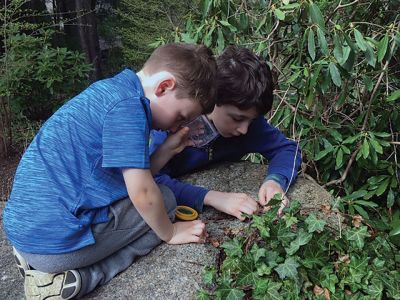 Marion Natural History Museum
The Marion Natural History Museum's after school program had fun with insects, like the Madagascar cockroach and the "toe-biter," AKA giant water bug. Outside, we took a closer look at some of the insects we can find in our neighborhoods. Many thanks to Blake Dinius of the Plymouth County Extension Service and the student volunteers from Tabor Academy and ORR. Photos courtesy Elizabeth Leidold
