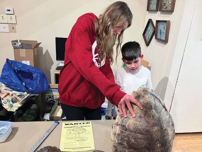 Marion Natural History Museum
On February 28, the Marion Natural History Museum's after school group enjoyed hearing about the efforts being made to protect the endangered Diamondback terrapin. Debra Ewing showed photos of the "Terrapin Garden" she helped to create in her neighborhood in Marion. The students had many interesting questions about this species, which were answered by Debra and two volunteers from New England Coastal Wildlife Alliance (NECWA). The students then broke into groups, exploring the artifacts they had brought in 
