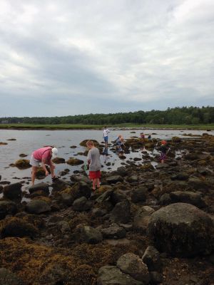 Marion Natural History Museum
The Marion Natural History Museum summer programs Life Along the Shore and Coastal Explorations 1 enjoyed a day of crabbing at Silvershell Beach while Coastal Explorations II group was out kayaking and discovering a little about water quality issues on the Sippican and Weweantic Rivers. Looking forward to more fun next week!
