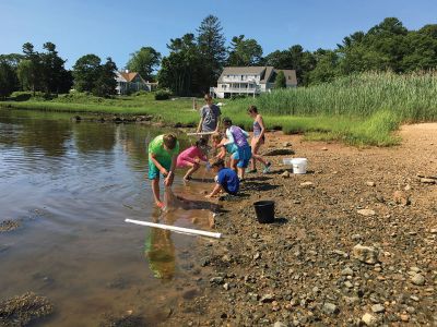 Marion Natural History Museum
The Marion Natural History Museum's Coastal Explorations group had a great time exploring our watershed last week. We turned over logs, caught frogs, and took a close look at soils in the woods at Washburn Park. Photos courtesy Elizabeth Leidhold
