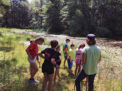 Marion Natural History Museum
The Marion Natural History Museum's Coastal Explorations group had a great time exploring our watershed last week. We turned over logs, caught frogs, and took a close look at soils in the woods at Washburn Park. Photos courtesy Elizabeth Leidhold
