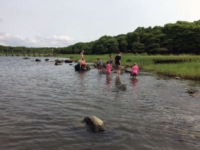 Marion Natural History Museum
The Marion Natural History Museum's Coastal Explorations group had a great time exploring our watershed last week. We turned over logs, caught frogs, and took a close look at soils in the woods at Washburn Park. Photos courtesy Elizabeth Leidhold
