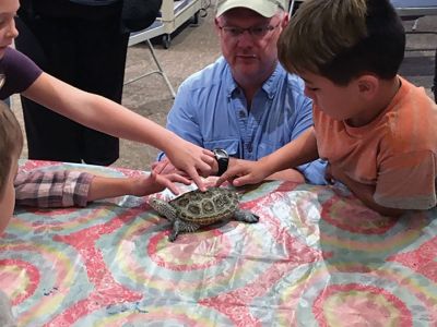 Marion Natural History Museum
The Marion Natural History Museum had a great time learning how to identify some of our rare turtles and what to do if we find one. We found out which is our smelliest turtle and which can close up into a "box" so tight you can't even slip a piece of paper between its shell. The students had a chance to get up close with a diamondback terrapin, an Eastern box turtle, and an enormous Plymouth red-bellied cooter. Many thanks to Brian Bastarach of Bristol County Agricultural High School’s Natural Resources Dep
