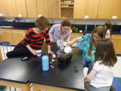 Vernal Pools
The Marion Natural History Museum afterschool program spent some time looking for amphibians during yesterday’s afterschool program.  We found tadpoles of two types of frogs, salamander larvae, dragonfly and damsel fly larvae and many other animals. Many thanks to Kim Riley and Beth Lopes for their help with the class. Photos by Elizabeth Leidhold
