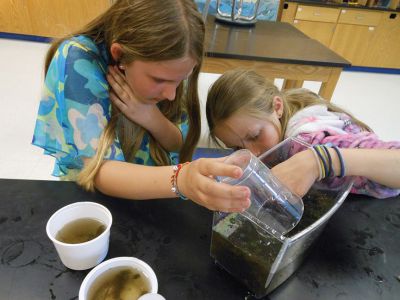 Vernal Pools
The Marion Natural History Museum afterschool program spent some time looking for amphibians during yesterday’s afterschool program.  We found tadpoles of two types of frogs, salamander larvae, dragonfly and damsel fly larvae and many other animals. Many thanks to Kim Riley and Beth Lopes for their help with the class. Photos by Elizabeth Leidhold
