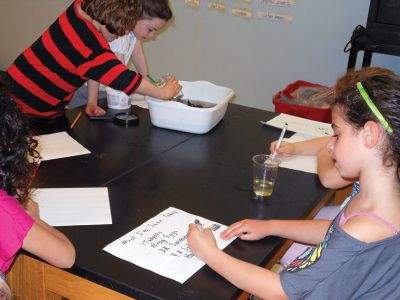 Vernal Pools
The Marion Natural History Museum afterschool program spent some time looking for amphibians during yesterday’s afterschool program.  We found tadpoles of two types of frogs, salamander larvae, dragonfly and damsel fly larvae and many other animals. Many thanks to Kim Riley and Beth Lopes for their help with the class. Photos by Elizabeth Leidhold
