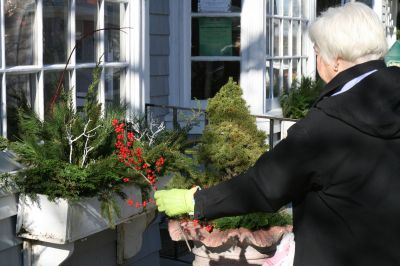 Holiday Dressing
Members from the Marion Garden Club filled Front Street windowboxes with greens, and decorated miniature trees with walnuts and seashells on December 10, 2009. Photo by Anne O'Brien-Kakley.
