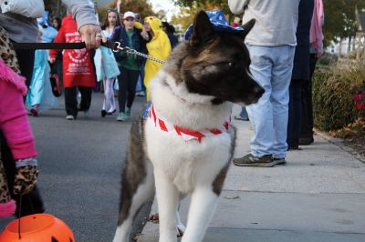 Marion Art Center Halloween Parade 
It looked as though nearly a thousand people came out for the Marion Art Center Halloween Parade on Monday, October 31. The event gets bigger and better every year, it seems, judging by the number of people and the degree of creativity when it comes to the costumes. Photos by Jean Perry
