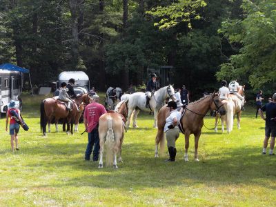 Marion 4th of July Horse Show
Quite the crowd cantered over to Washburn Park after the parade for the annual Marion 4th of July Horse Show. This is the 71st year of the horse show, which is supposedly the longest running horse show in the region.
