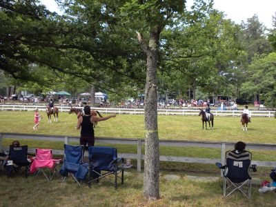 Marion 4th of July Horse Show
Quite the crowd cantered over to Washburn Park after the parade for the annual Marion 4th of July Horse Show. This is the 71st year of the horse show, which is supposedly the longest running horse show in the region.
