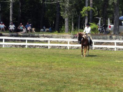 Marion 4th of July Horse Show
Quite the crowd cantered over to Washburn Park after the parade for the annual Marion 4th of July Horse Show. This is the 71st year of the horse show, which is supposedly the longest running horse show in the region.
