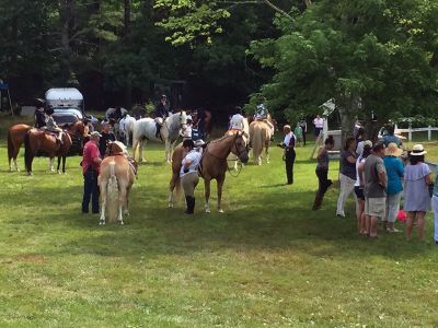 Marion 4th of July Horse Show
Quite the crowd cantered over to Washburn Park after the parade for the annual Marion 4th of July Horse Show. This is the 71st year of the horse show, which is supposedly the longest running horse show in the region.
