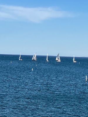 Sailing
Mattapoisett competed against Saint John Academy on April 1. Results not posted at time of print. Photo by Marilou Newell
