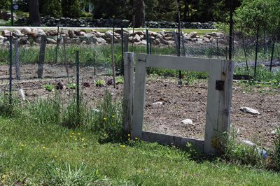 Mattapoisett Community Garden 
Bob Nichols wants you to know that there are four available plots at the Mattapoisett Community Garden located at the corner of Prospect Road and Pine Island Road. The annual cost is $30 to cover general maintenance and water, and new gardeners, said Nichols, will find no shortage of fellow gardeners willing to help them get established. Photos by Jean Perry
