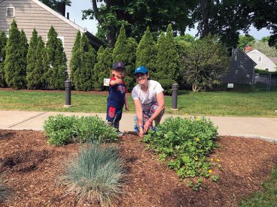 Mattapoisett Woman’s Club Garden Group
Red, white, and blue was Sharon Doyon’s vision of the Mattapoisett Woman’s Club Garden Group as 18 members gathered at the library to plant on May 26 in areas including the pots at the Mattapoisett Historical Society and Town Hall, window boxes at the post office and Town Beach house, the lighthouse garden at the harbor, plus the gardens and planters at the Mattapoisett Free Public Library. 
