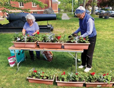 Mattapoisett Woman’s Club Garden Group
Red, white, and blue was Sharon Doyon’s vision of the Mattapoisett Woman’s Club Garden Group as 18 members gathered at the library to plant on May 26 in areas including the pots at the Mattapoisett Historical Society and Town Hall, window boxes at the post office and Town Beach house, the lighthouse garden at the harbor, plus the gardens and planters at the Mattapoisett Free Public Library. 
