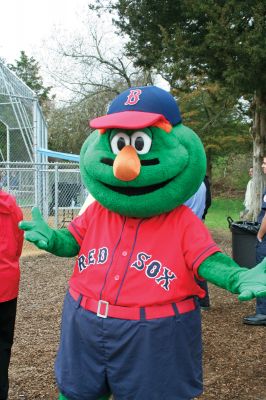 Opening Day
The Mattapoisett Youth Baseball League opened their 2009 season with a parade down Route Six on Saturday morning, May 2. Special guest and Boston Red Sox mascot Wally the Green Monster was on hand to throw out the first pitch and sign autographs for the young players. Photo by Robert Chiarito.
