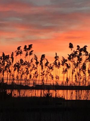 Marion Sunrise
Lisa MacLean of Marion captured this photo of the first sunrise of 2019 on New Year’s morning.
