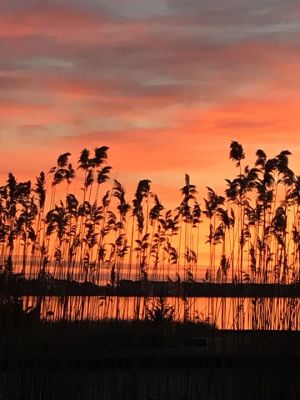 Marion Sunrise
Lisa MacLean of Marion captured this photo of the first sunrise of 2019 on New Year’s morning.
