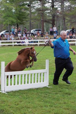 Marion Horse Show
The 68th annual Marion Horse Show was Saturday, July 4 at Washburn Park. The horse show has been a tradition in Marion since 1947 when Charles R. Washburn founded it as a fundraiser for local youth groups. Photos by Colin Veitch
