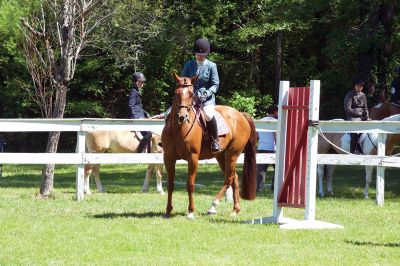 Marion Horse Show
The Fourth of July is also the day for another Marion tradition, the Marion Horse Show at Washburn Park. Photos by Colin Veitch
