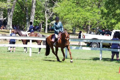 Marion Horse Show
The Fourth of July is also the day for another Marion tradition, the Marion Horse Show at Washburn Park. Photos by Colin Veitch
