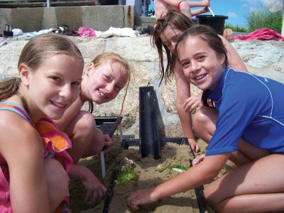 Summer Program
Marion Natural History Museum summer program participants Alyson, Danya, Mackenzie and Kate designed a watershed at a July class on the beach. Photo courtesy of Elizabeth Leidhold.
