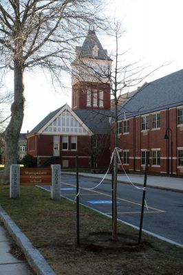 Memorial Planting
A small pin oak sapling in front of the Center School honors the memory of Mattapoisett resident Jamie Shepley, who died in the summer of 2009. The memorial tree was planted by the Mattapoisett Tree Committee. For more information, please contact committee member Sandy Hering at Hering.Sandra@gmail.com. Photo by Laura Fedak Pedulli.
