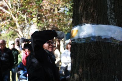 Protect Your Trees
Partnering with the Mattapoisett Land Trust, members of the Mattapoisett Tree Committee held a tree banding seminar on October 17 to show residents how to protect their trees against the invasive winter moth. Photos by Marilou Newell
