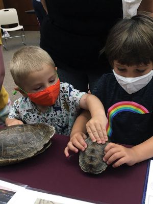 Mattapoisett Library
On August 7, the Mattapoisett Library hosted the New England Coastal Wildlife Alliance. Interns from the Wareham-based agency gave a hands-on talk to small children on local sea turtles. NECWA studies local marine life, collecting data for a variety of agencies. Some 60 kids from the Tri-Town area and beyond learned about turtle eating and nesting habits and made crafts depicting turtles. Photos by Marilou Newell
