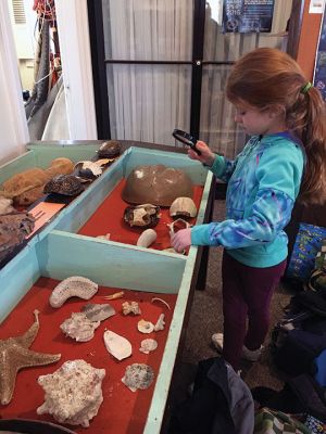 Marion Natural History Museum
Geologist and social worker James Pierson of Mattapoisett gave a hands-on presentation about minerals and fossils to youngsters on March 16 at the Marion Natural History Museum under the direction of Liz Leidhold. The afterschool program is one of several being offered by the museum, an institution now celebrating its 150th anniversary. To learn more about programs for the young and young at heart visit marionmuseum.org. Photos by Marilou Newell
