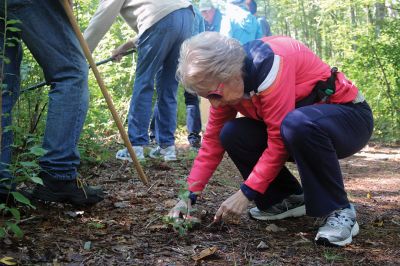 Mushroom Walk
The Sippican Lands Trust and the Boston Mycological Club took a large group out on Sunday for a mushroom walk at the White Eagle Property in Marion. Participants gathered hundreds of mushrooms and laid them out on a long table for mushroom experts Ken Fienberg and Chris Neefus to help identify. Photos by Jean Perry
