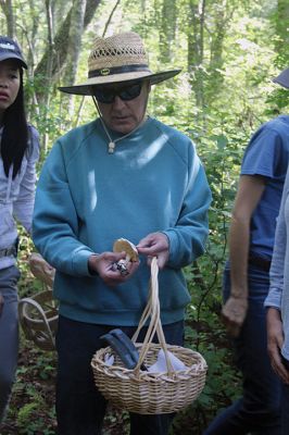 Mushroom Walk
The Sippican Lands Trust and the Boston Mycological Club took a large group out on Sunday for a mushroom walk at the White Eagle Property in Marion. Participants gathered hundreds of mushrooms and laid them out on a long table for mushroom experts Ken Fienberg and Chris Neefus to help identify. Photos by Jean Perry
