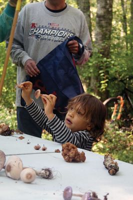 Mushroom Walk
The Sippican Lands Trust and the Boston Mycological Club took a large group out on Sunday for a mushroom walk at the White Eagle Property in Marion. Participants gathered hundreds of mushrooms and laid them out on a long table for mushroom experts Ken Fienberg and Chris Neefus to help identify. Photos by Jean Perry
