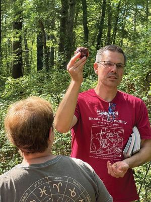 Woodland Walk for Mushrooms
Marion Natural History Museum hosted mycologist Adam Korejwa on September 13. Korejwa conducted a Woodland Walk for Mushrooms event at Shoolman Preserve in Rochester. Bolete, russula, honey, ghost pipe, and cauliflower mushrooms were all spotted, along with countless others. Whether it be on the ground, on a waterlogged fallen tree, or up the side of a living host-tree, mushrooms seemed to be all about. Roughly 40 people showed, including members of mycological societies, amateur enthusiasts, Rhode Islander
