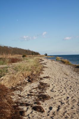 Nasketucket Beach
The beautiful Nasketucket Bay State Reservation is a wonderful place to visit and this is a great time to do it. There's a Full Moon Hike planned for Tuesday, October 11 from 6:00 pm to 7:15 pm for a hike through a meadow, along the rocky shoreline, and through forested trails. Space is limited and pre-registration is required. Call 508-866-2580 x162 to pre-register. For park info and directions, visit www.mass.gov/dcr/parks/southeast/nbsr.htm. 
