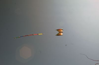 Ned's Point Wind
Saturday's visitors to Ned's Point were greeted by a sky full of spectacular animated kites depicting sea life. Photos by Mick Colageo
