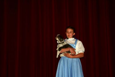 The Wizard of Oz
The students of Old Hammondtown School hit the stage this week for their production of “The Wizard of Oz.” The play was complete with all the major characters including Dorothy, the Scarecrow, Tin Man, Lion, Wicked Witch of the West, Flying Monkeys, and of course, a real live dog to portray Toto. Photos by Katy Fitzpatrick.
