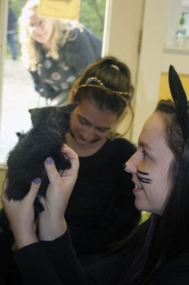 Octopurrfest
Octopurrfest is one of those annual fundraisers that get bigger and better every year. It’s All About the Animals, a non-profit cat shelter in Rochester, hosted its Halloween-themed outdoor event on Sunday, Octopurr 14, featuring live music, a huge raffle, lots of vendors and food and, of course, a glimpse of all the adorable kittens and cats available for adoption. Photos by Jean Perry
