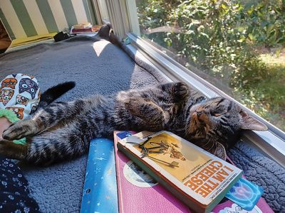 Oliver

Oliver from Marion fell asleep after reading his book. Photo courtesy of Carol Rhoads

